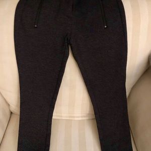 Loft Petites pant